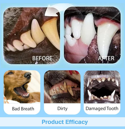 Pet Toothbrush Pen with Oral Repair Gel (3 PCS Pack)