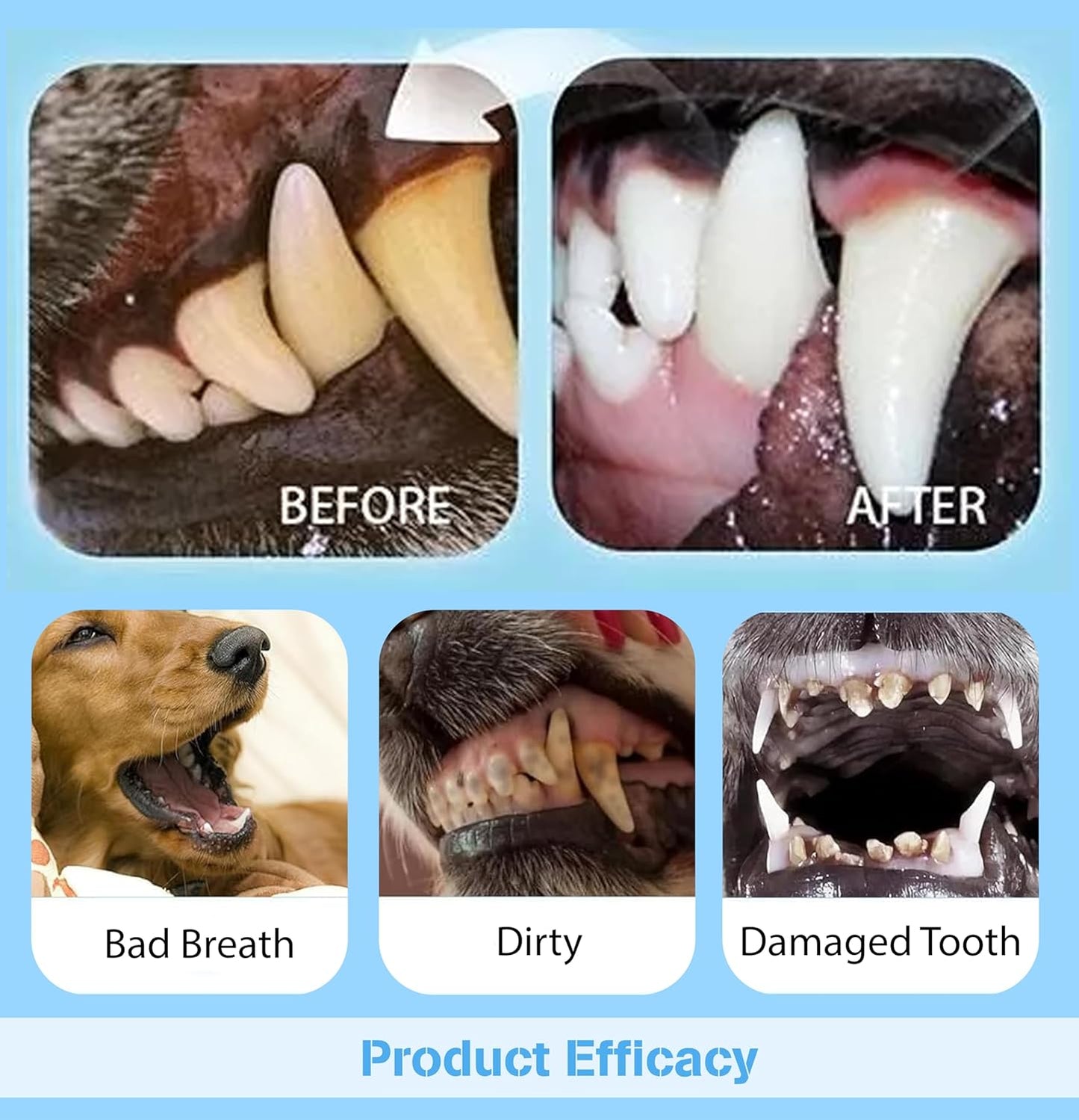 Pet Toothbrush Pen with Oral Repair Gel (3 PCS Pack)