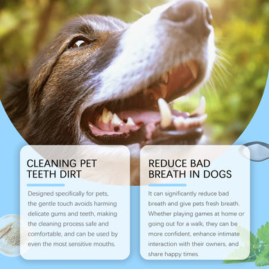 Transform Your Pet's Smile, Enhance Their Health!